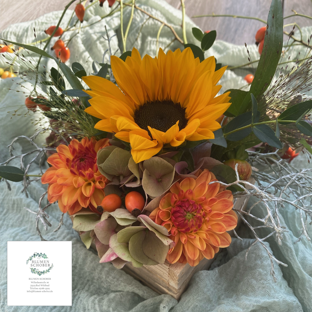 Workshop IGFB Post 1696591027